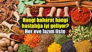 Baharatların Sağlığa Faydaları: Hangi Baharatlar Hangi Hastalıklara İyi Gelir?