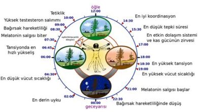 Biyolojik Saat: Uykunuzun Kalitesini Nasıl Artırırsınız?